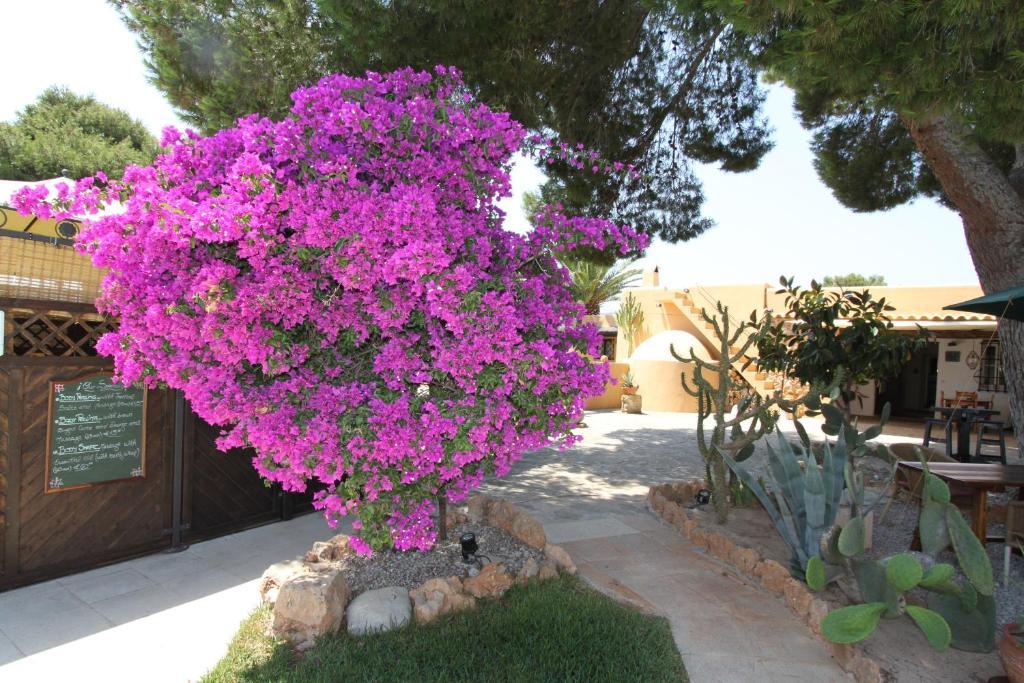 Finca Can Toni Sant Jordi de ses Salines Esterno foto